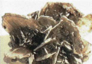 image of chemist